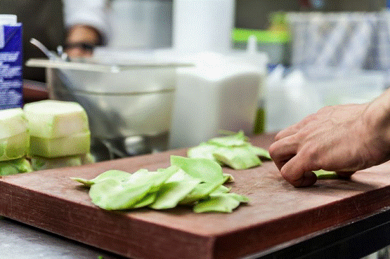 源頭處理，邁科減量化餐廚垃圾處理設備，助力餐飲食堂輕松解決難題
