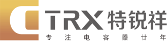 四川特銳祥科技股份有限公司攜 SMD-TRX 、SMD-NTC、DIP-TY亮相CAEE家電制造業供應鏈展覽會