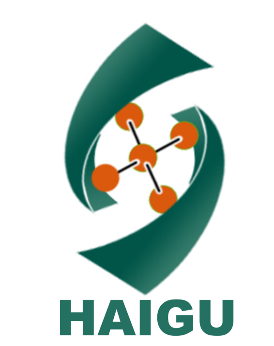 廣州海谷電子科技有限公司：創新引領，驅動行業發展