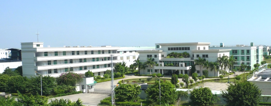 廣東東田轉印新材料有限公司：持續創新，引領行業發展